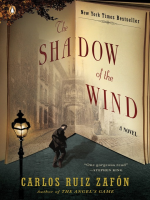 The_shadow_of_the_wind